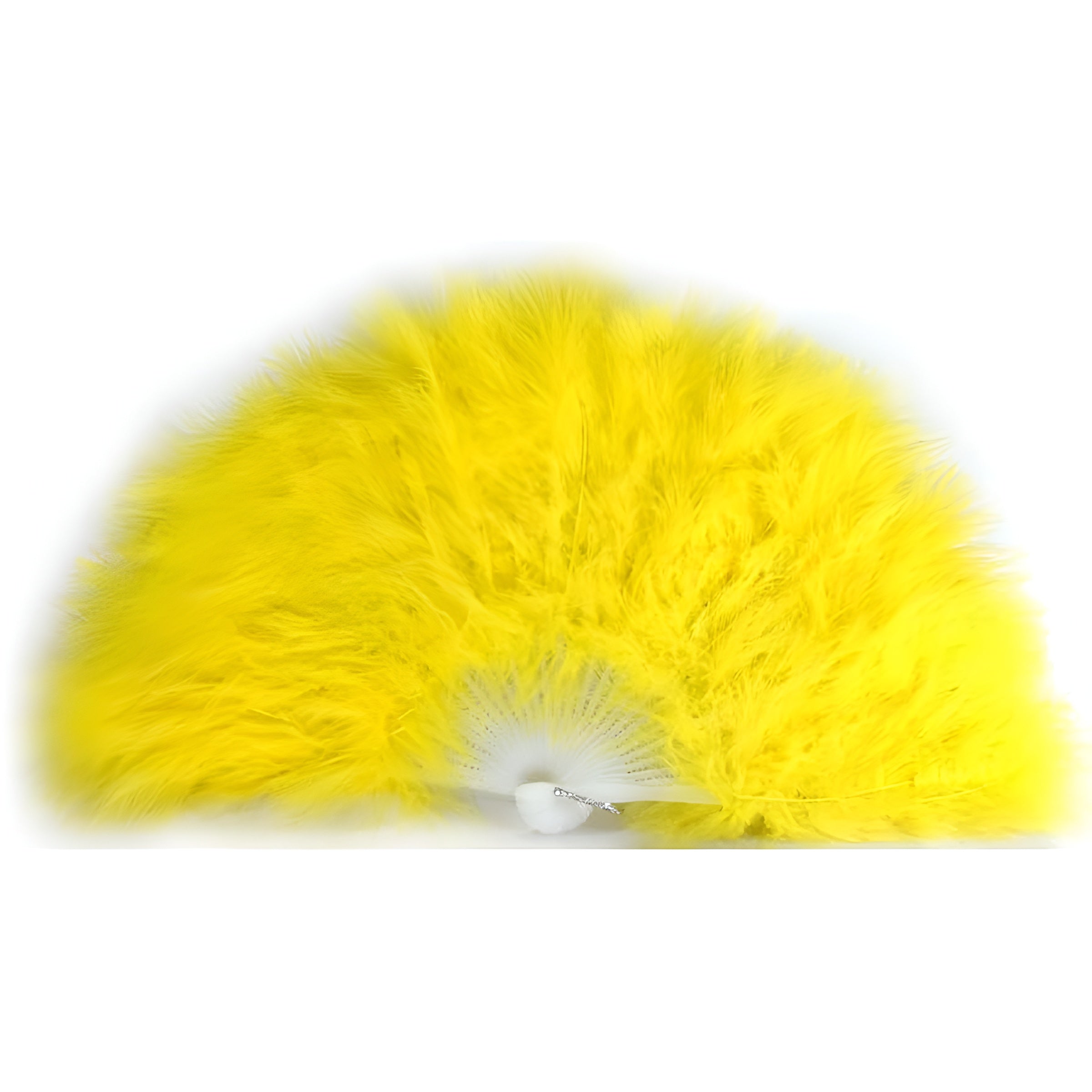 Feather Fan