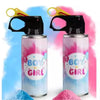 Boy or Girl Smoke Bomb product image