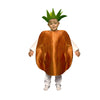 Pineapple Costume