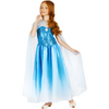 Elsa Frozen costume