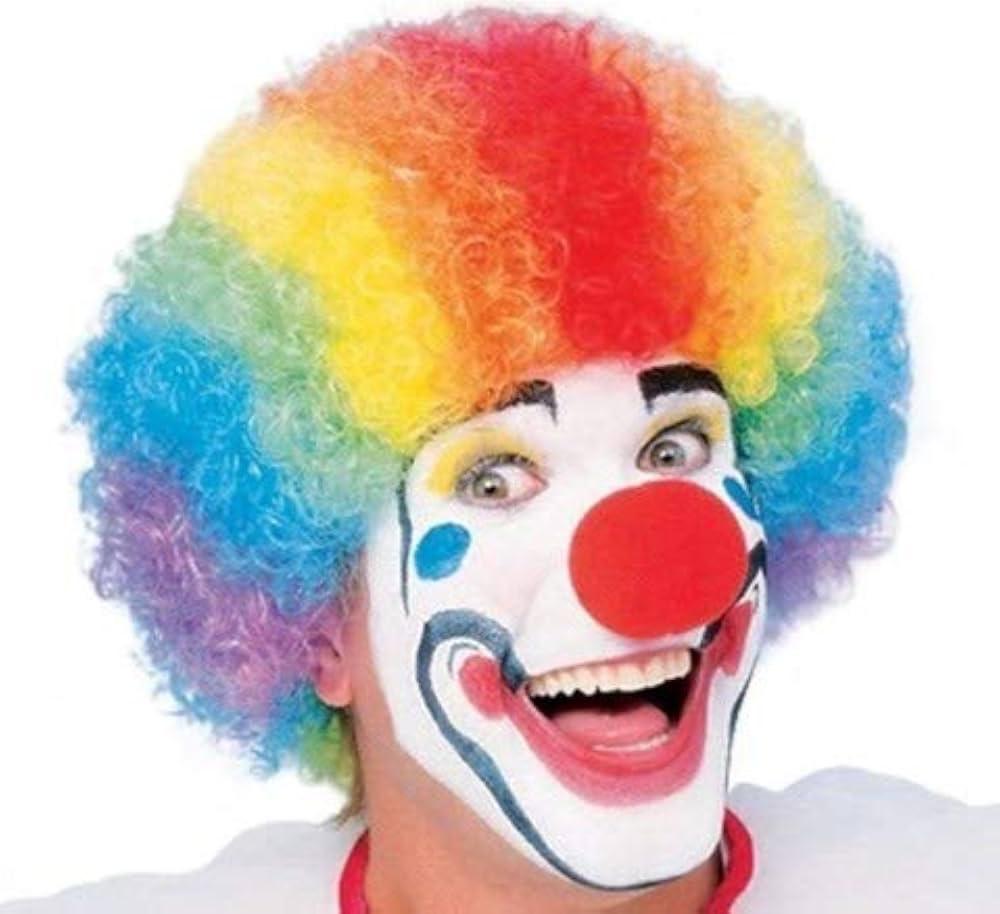 Multicolor Clown Wig