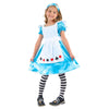 Alice in Wonderland Costume