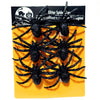 Spiders