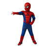 Spiderman Costume