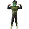 Hulk costume