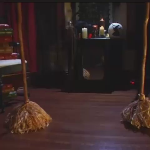 Walking Broom with Sounds