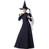 Elphaba The Wicked Witch Costume
